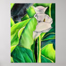 Search for arums posters Lilies
