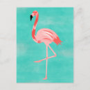 Recherche de flamant exotique cartes postales Rose