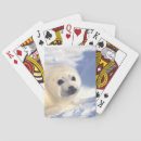 Recherche de joint jeux de cartes Nature