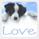 Search for black and white border stickers Puppy