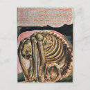 Search for material postcards Book