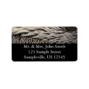 Search for bird feather return address labels Photography