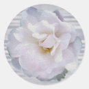 Search for pink and grey stickers Rose