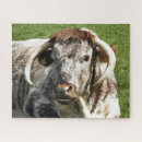Recherche de longhorn puzzles Vaches