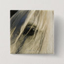 Recherche de amants de cheval badges Cowboy