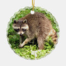 Search for raccoon ornaments Critters