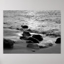 Search for beach posters Water