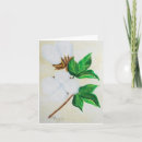 Search for cotton cards Botanical