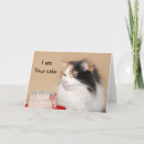 Search for calico cat birthday cards Animal