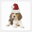 Search for beagle christmas stickers Santa