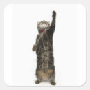 Search for reach for the stickers Cute