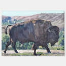 Search for grassland magnets Wildlife