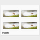 Search for small mushroom stickers Photography