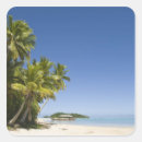 Search for cook islands stickers Palm