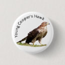 Recherche de faucon badges Faune