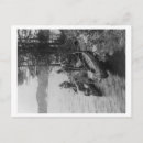 Recherche de canot cartes postales Canoë