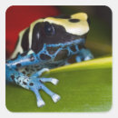 Search for suriname stickers Frog