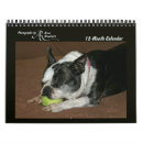 Recherche de de 12 mois calendriers Animaux domestiques