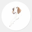 Search for english pointer stickers Animal