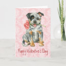 Search for blue heeler holiday cards Acd