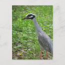 Search for strut postcards Nature