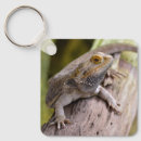 Search for bearded dragon keychains Lizard
