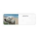 Search for labradoodle return address labels Poodle