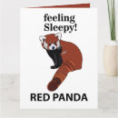 Search for red panda cards Nature
