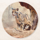 Recherche de faune dessous de verres Jungle