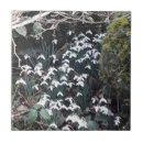 Search for snowdrop tiles White