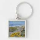 Search for ca keychains Lake