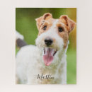Recherche de fox puzzles Canine