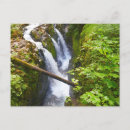 Search for duc postcards Landscape