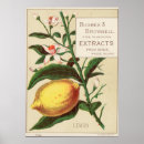 Recherche de vintage chocolat art Nourriture