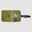 Recherche de renard bagages étiquettes Faune