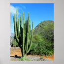 Recherche de orgue posters Cactus