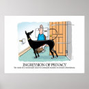 Search for greyhound cartoon posters Anime