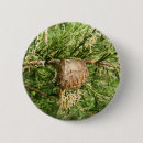 Search for mantis buttons Nature