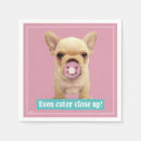 Recherche de bouledogue francais serviettes Mignon