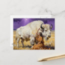 Search for native american postcards Wildlife