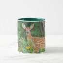 Recherche de faon tasses Nature