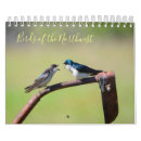 Search for northwest Birds