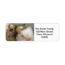 Search for hamster return address labels Cute