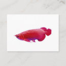 Recherche de poisson rouge cartes visite Aquarium