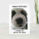 Search for puppy nose cards Funny