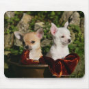 Search for fawn mousepads White