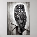 Recherche de hibou gris posters Oiseau
