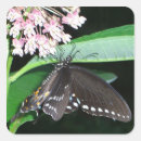 Search for black butterfly stickers Floral