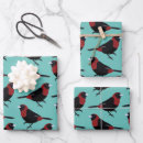 Search for songbird wrapping paper Birds