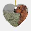 Search for red lab ornaments Xmas